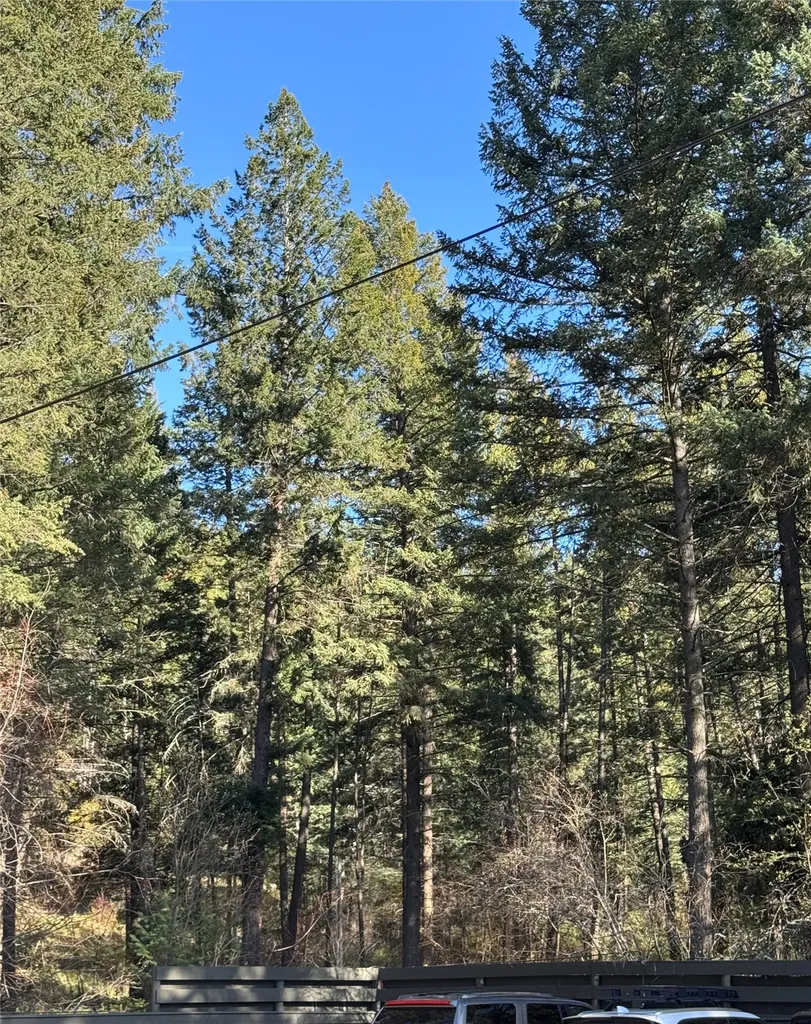 8575 Mount Highway 35 Bigfork MT 59911