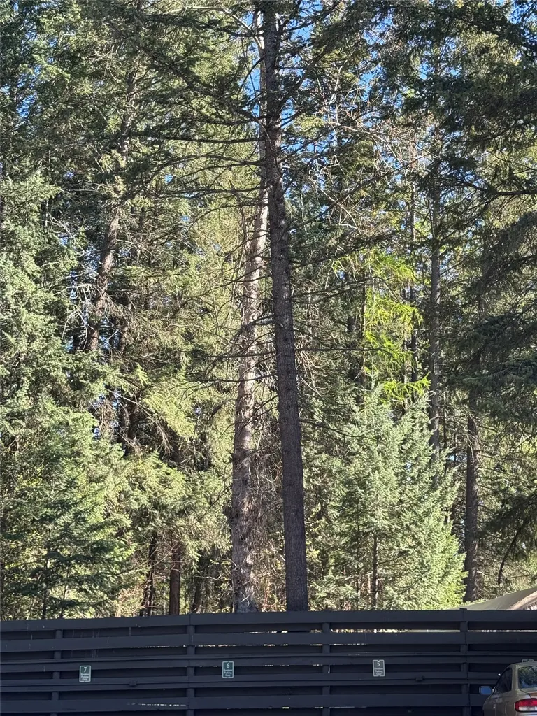 8575 Mount Highway 35 Bigfork MT 59911