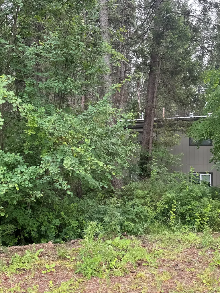 8575 Mt Highway 35 Bigfork MT 59911