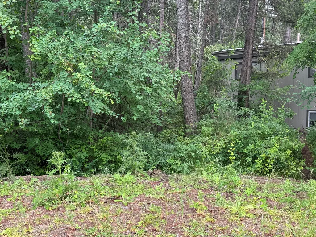 8575 Mt Highway 35 Bigfork MT 59911