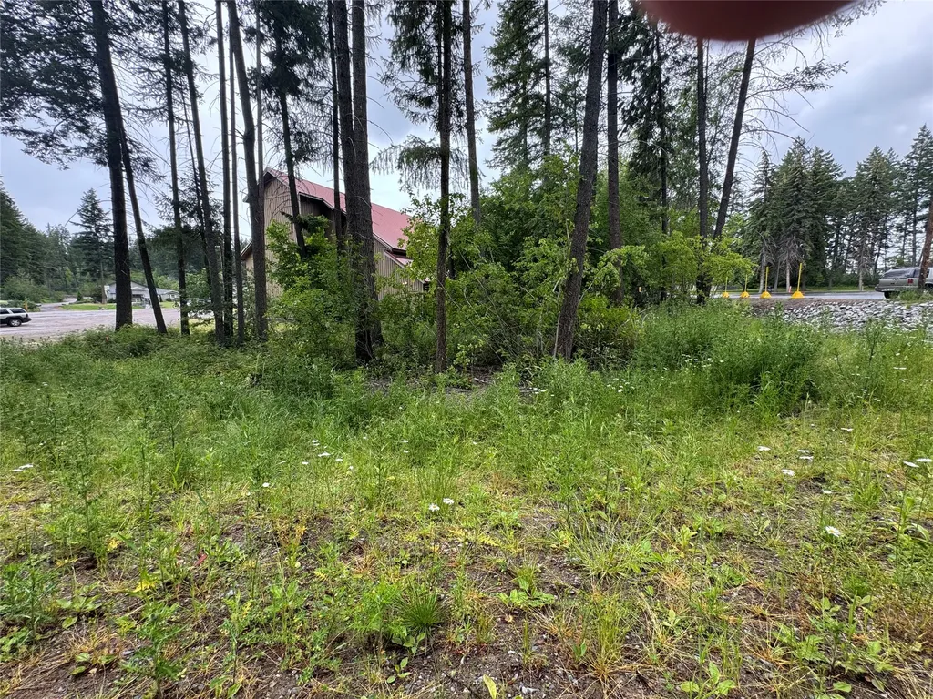 8575 Mt Highway 35 Bigfork MT 59911