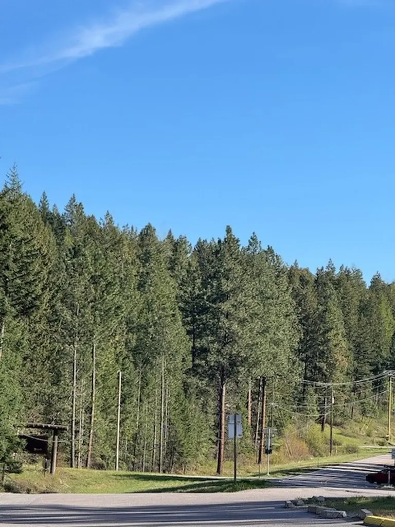 8575 Mt Highway 35 Bigfork MT 59911
