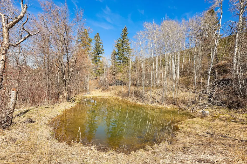 784 Pluid Road Eureka MT 59917