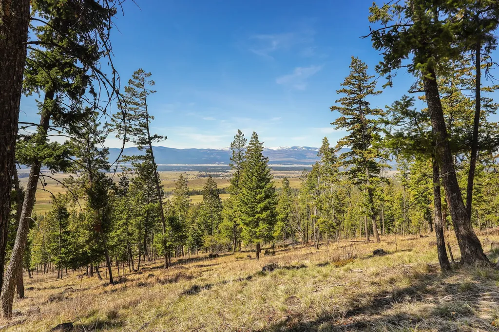 784 Pluid Road Eureka MT 59917