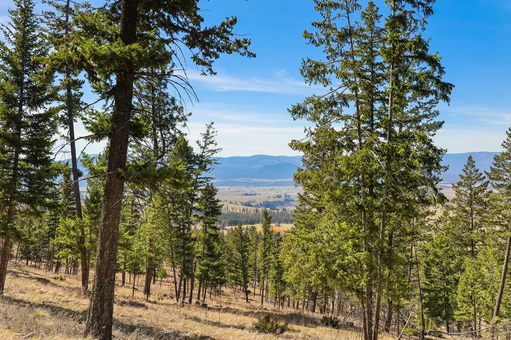 784 Pluid Road Eureka MT 59917