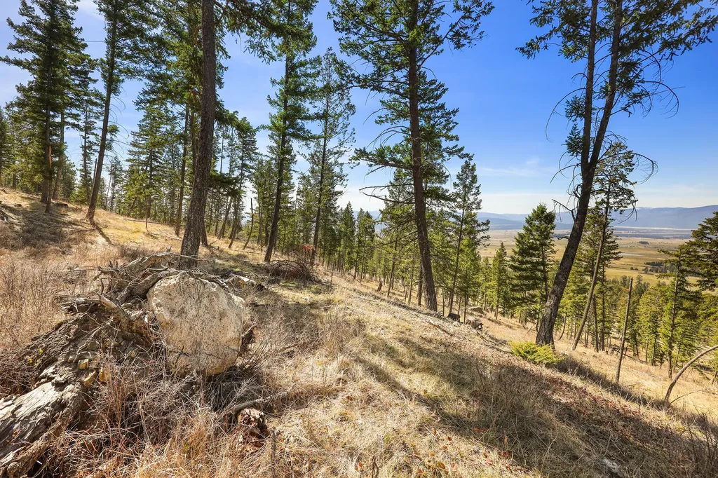 784 Pluid Road Eureka MT 59917