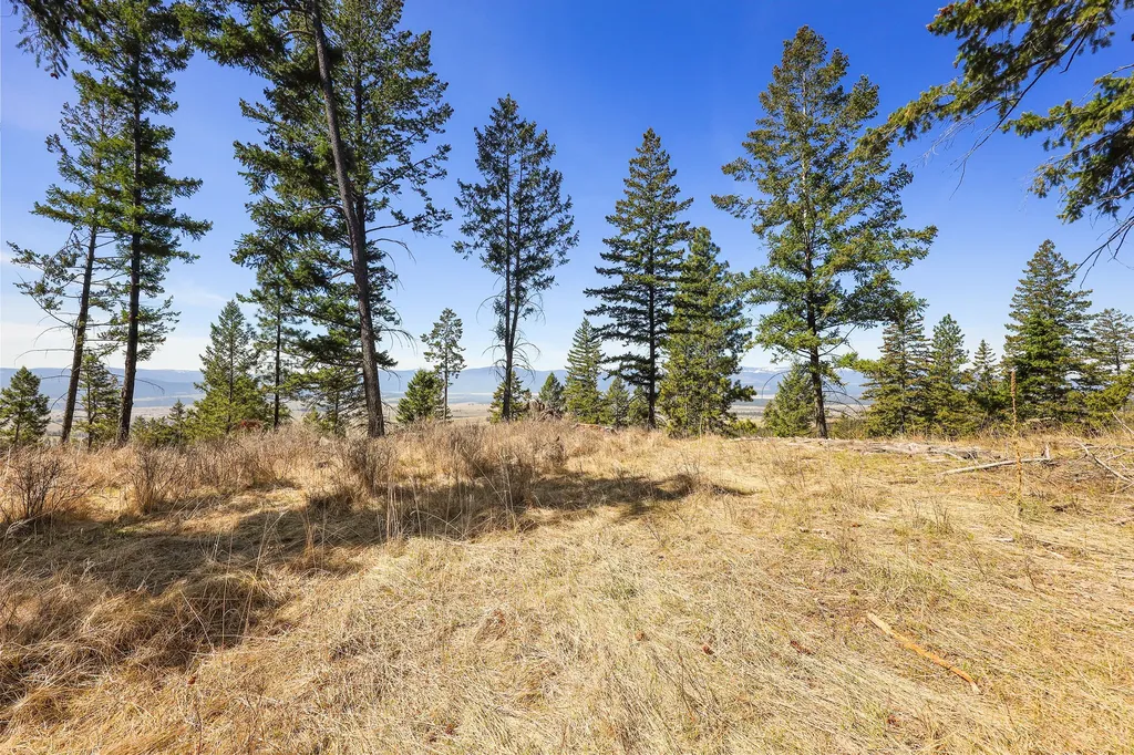784 Pluid Road Eureka MT 59917