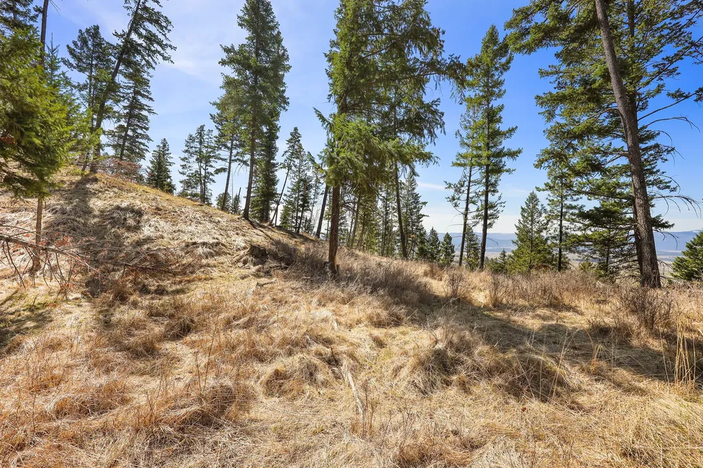 784 Pluid Road Eureka MT 59917
