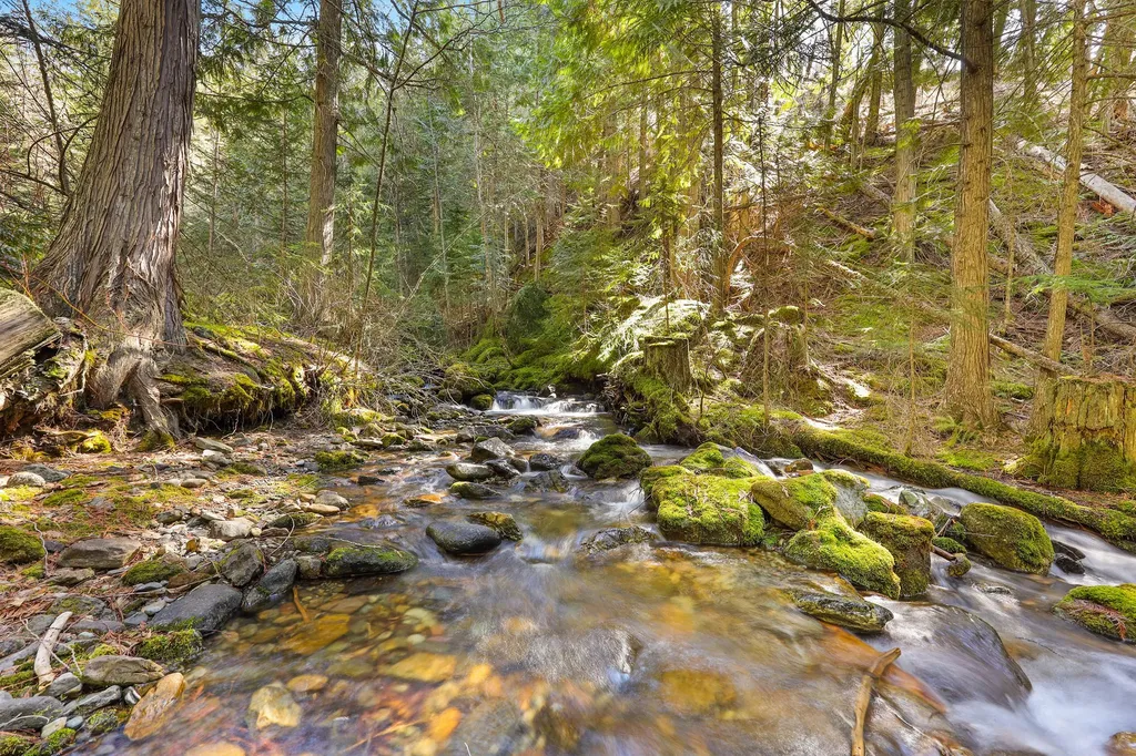 784 Pluid Road Eureka MT 59917