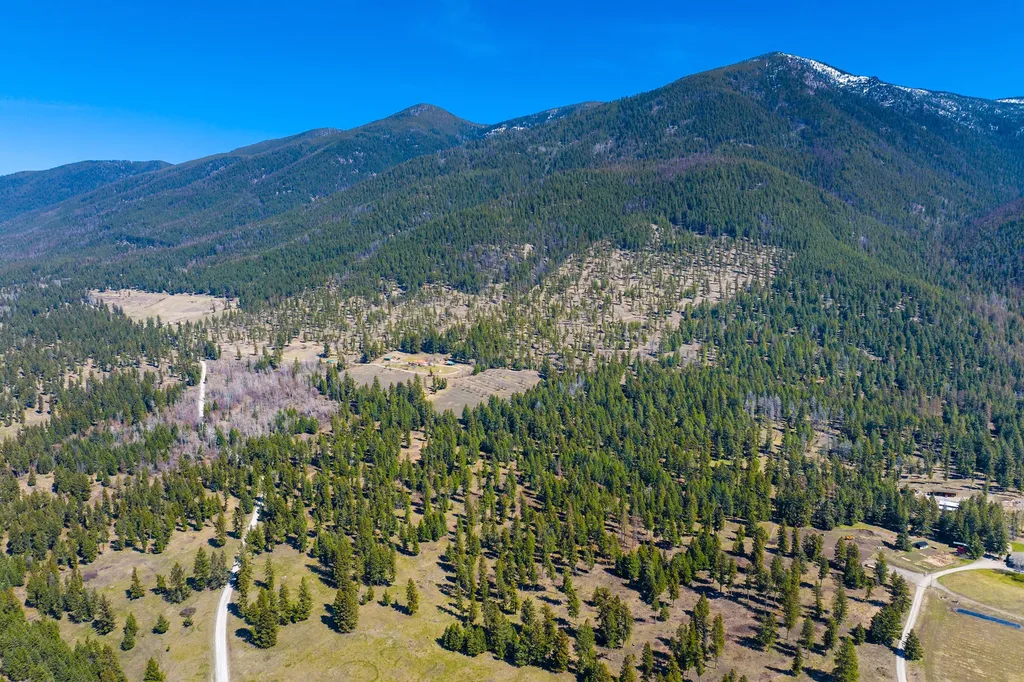 784 Pluid Road Eureka MT 59917