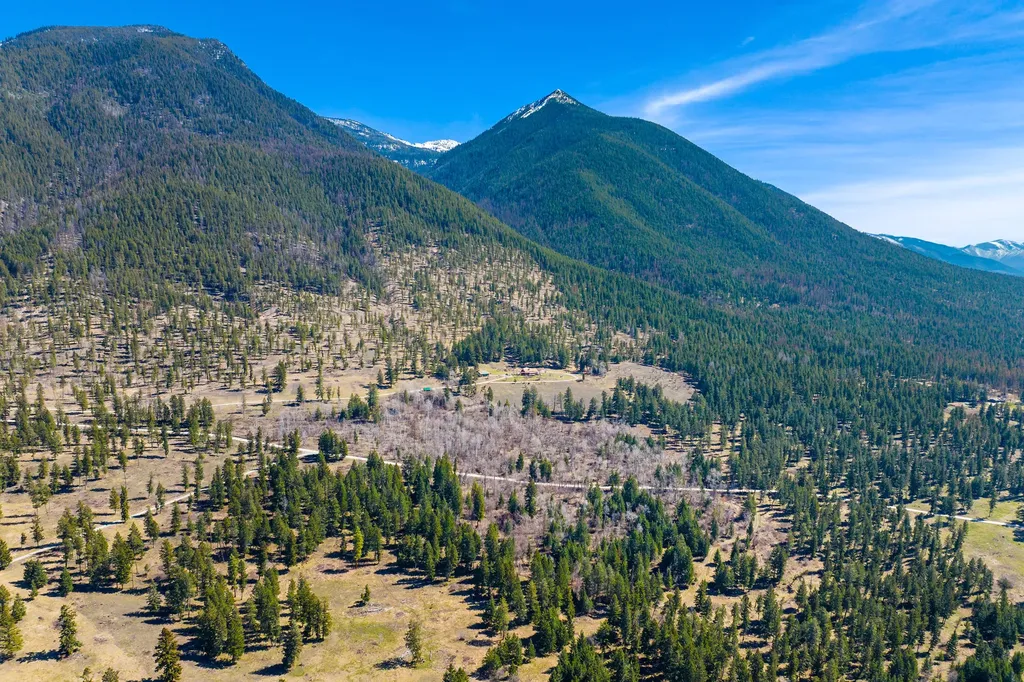784 Pluid Road Eureka MT 59917