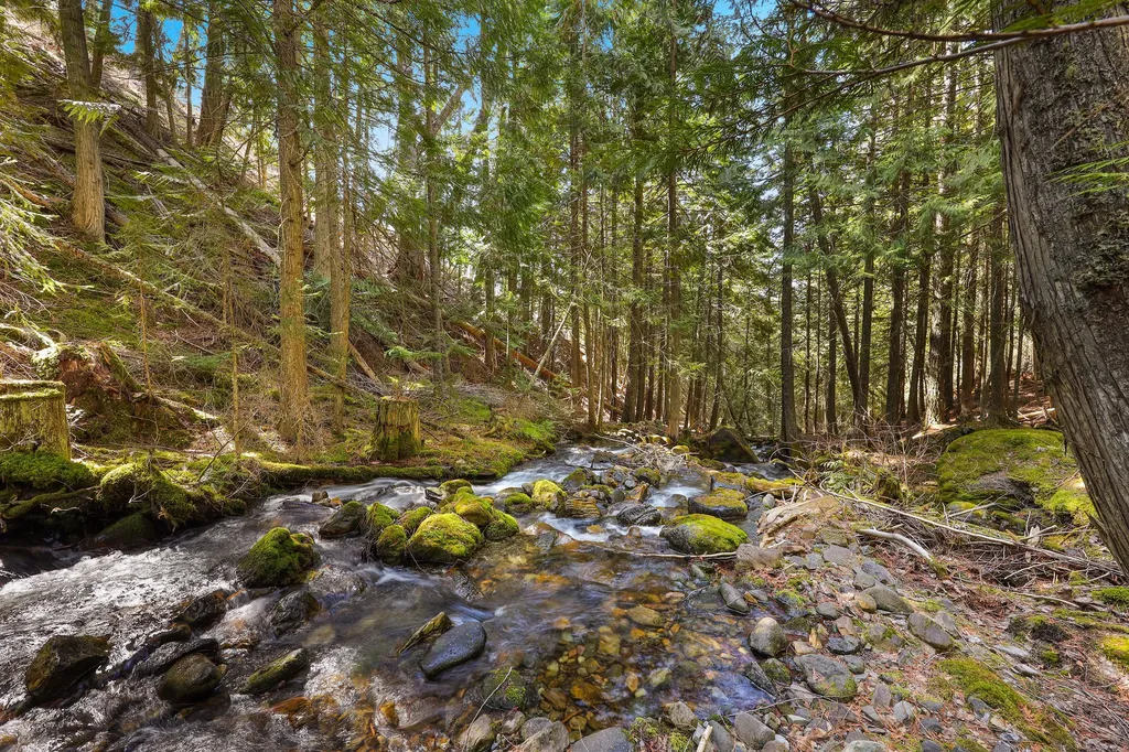 784 Pluid Road Eureka MT 59917