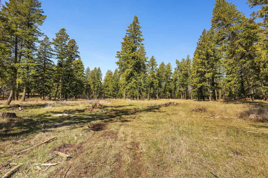784 Pluid Road Eureka MT 59917