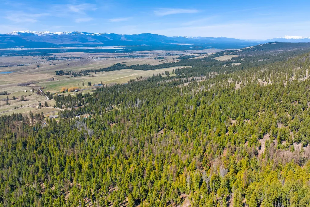 784 Pluid Road Eureka MT 59917