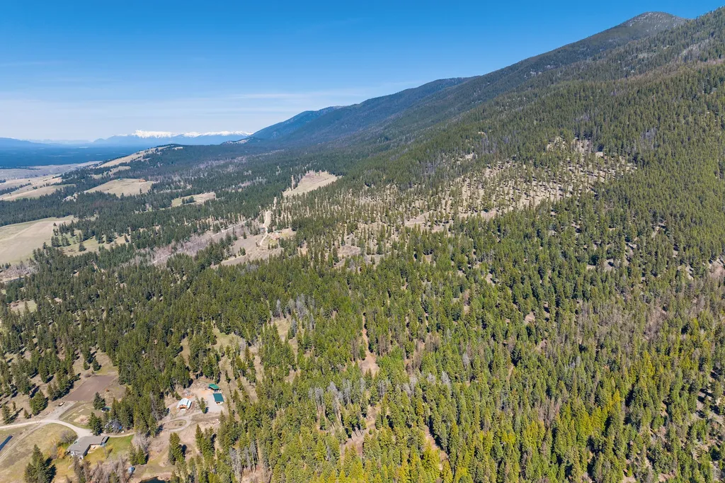 784 Pluid Road Eureka MT 59917