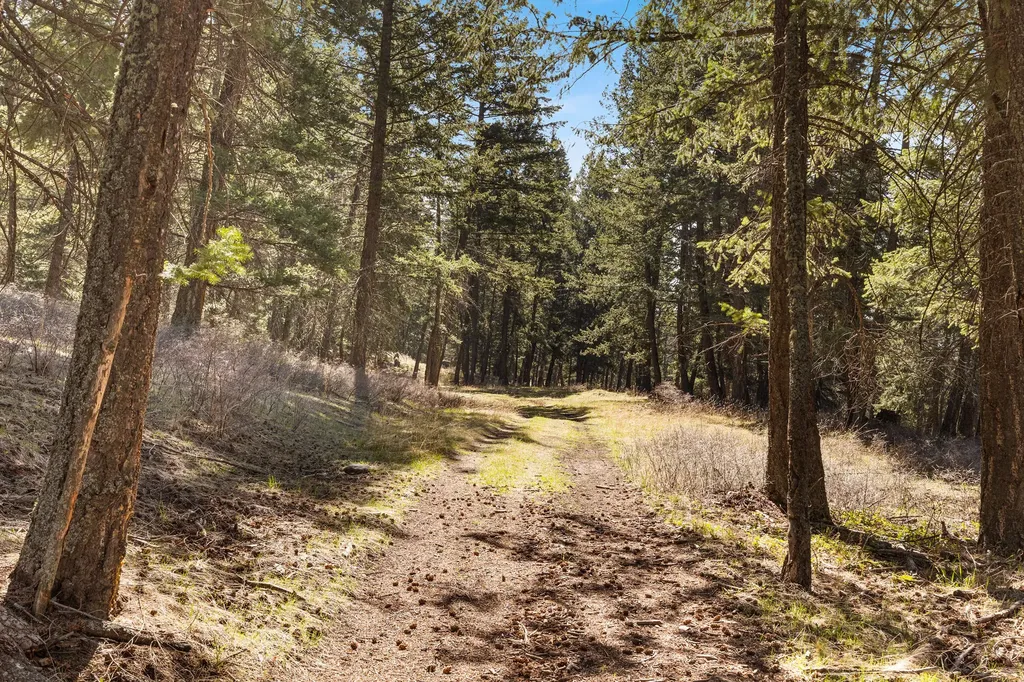 784 Pluid Road Eureka MT 59917