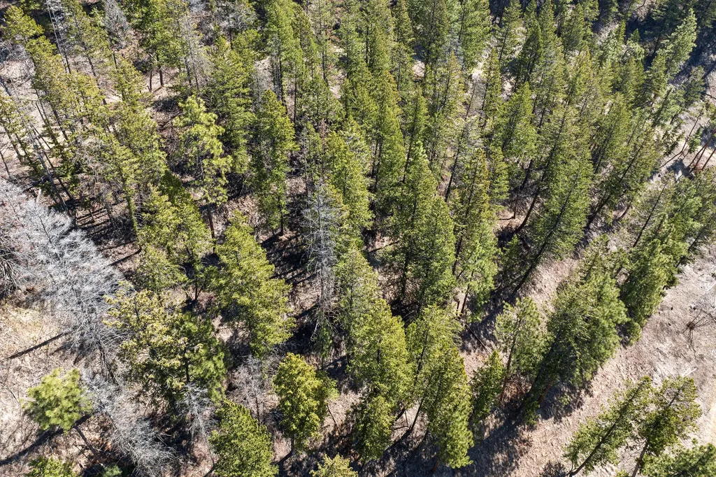 784 Pluid Road Eureka MT 59917