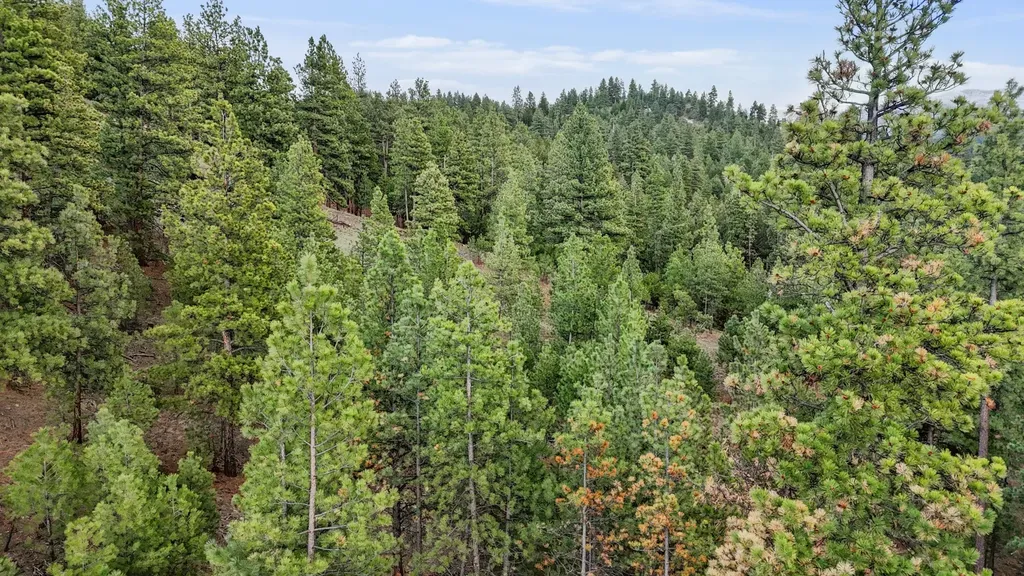 221 Warm Springs Creek Road Clancy MT 59634