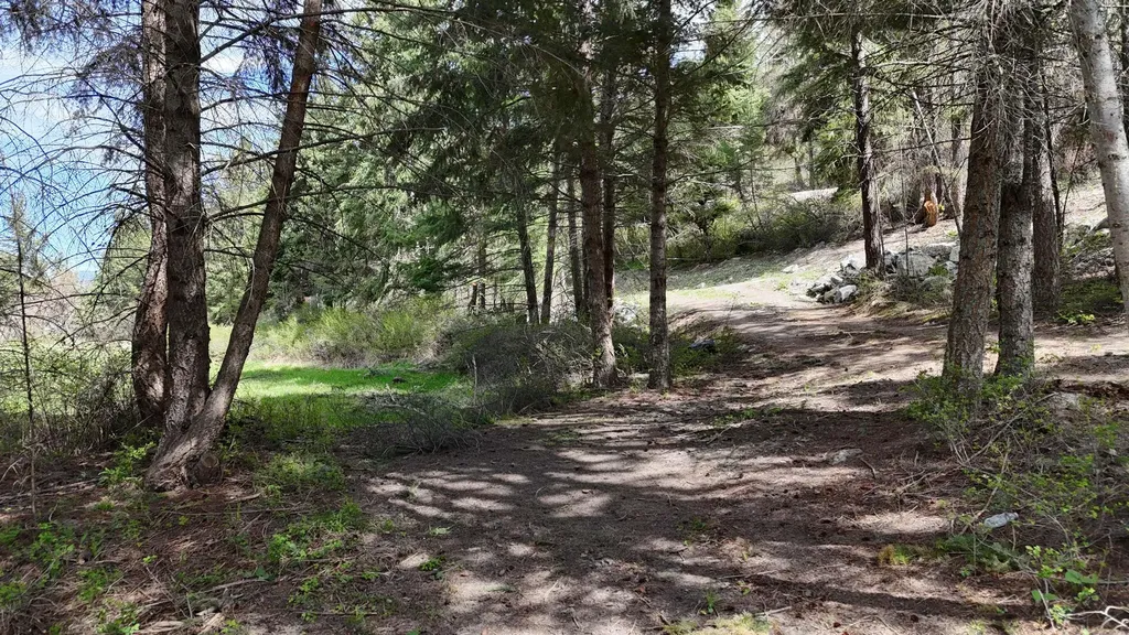 33065 E Bay Lane Polson MT 59860