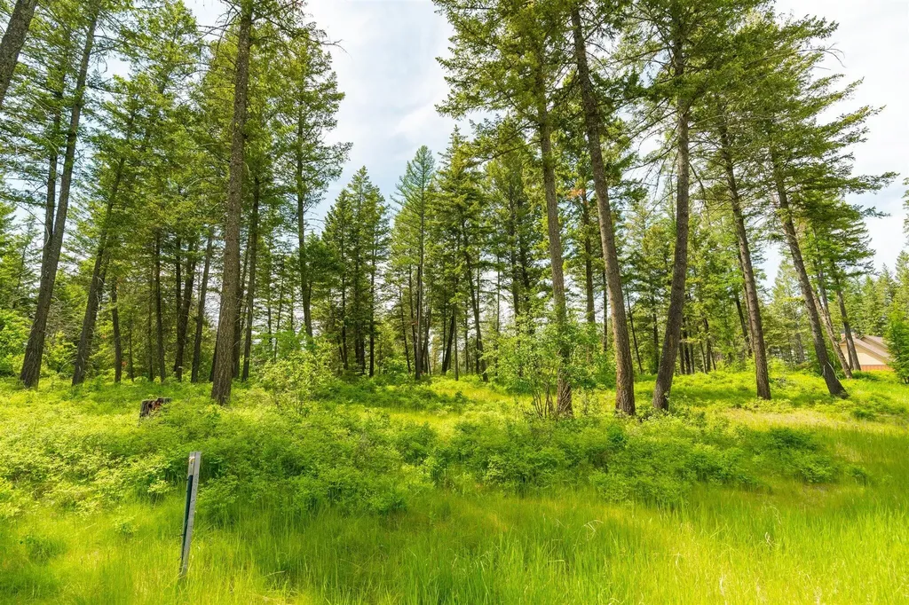 56 Wood Ridge Drive Columbia Falls MT 59912