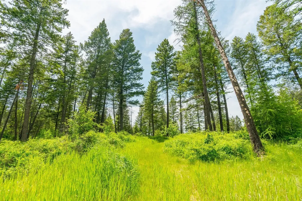 56 Wood Ridge Drive Columbia Falls MT 59912