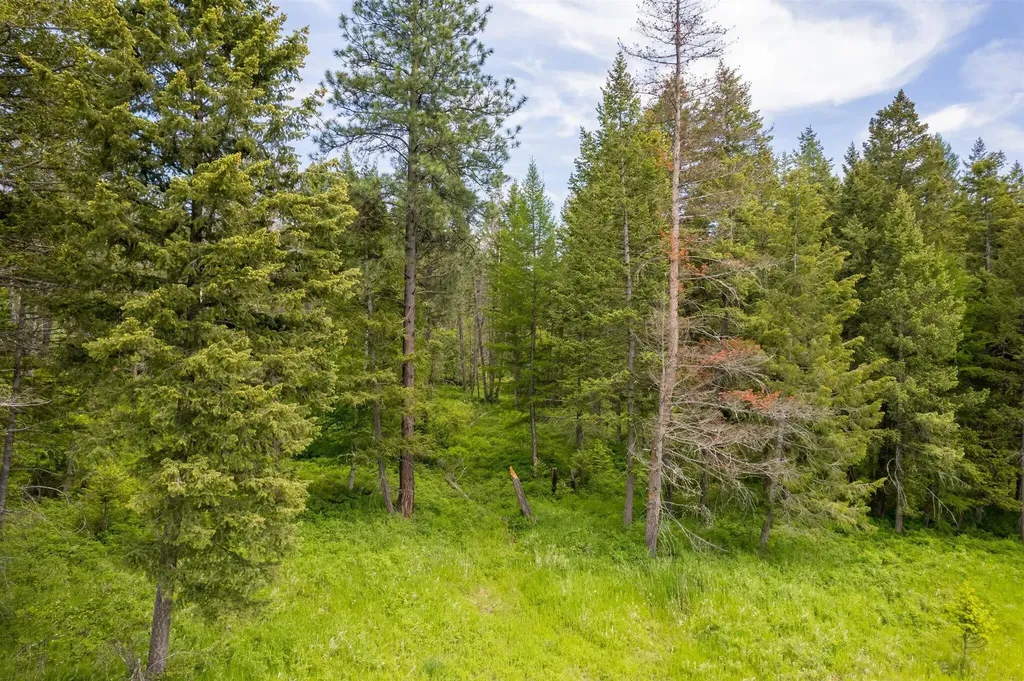 56 Wood Ridge Drive Columbia Falls MT 59912