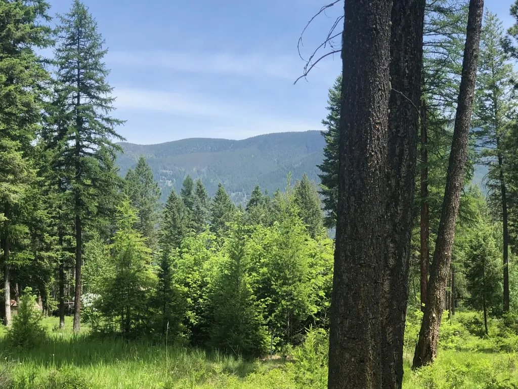 56 Wood Ridge Drive Columbia Falls MT 59912