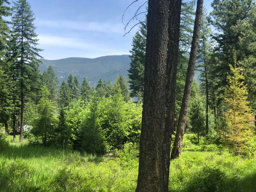 56 Wood Ridge Drive Columbia Falls MT 59912