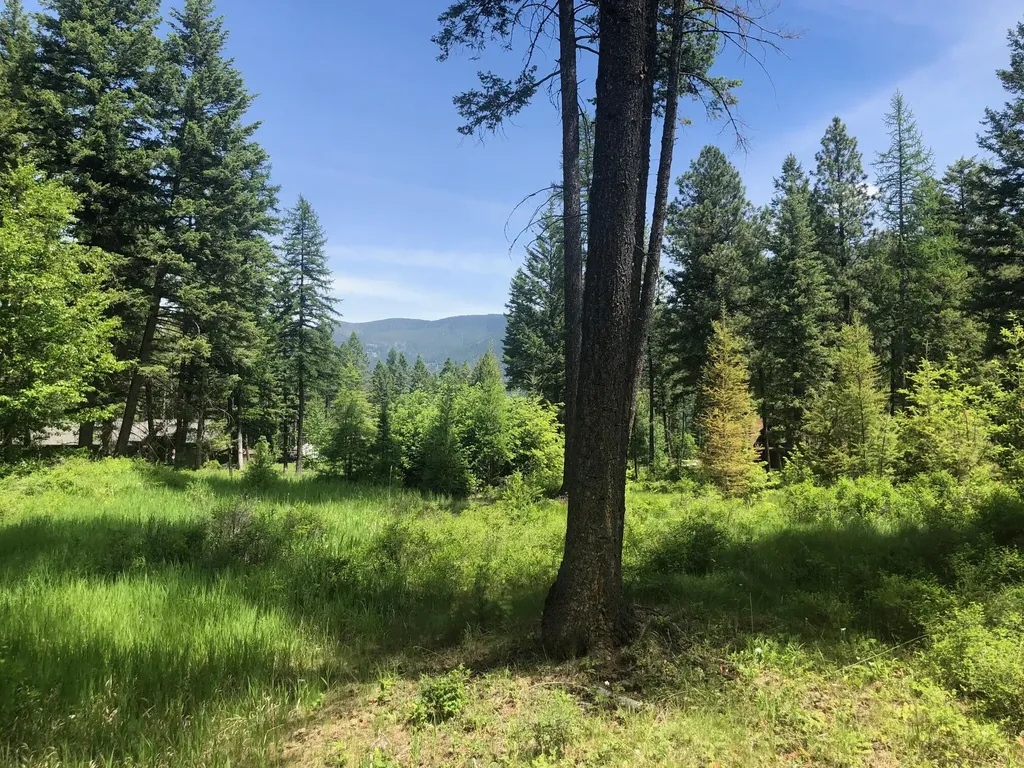 56 Wood Ridge Drive Columbia Falls MT 59912