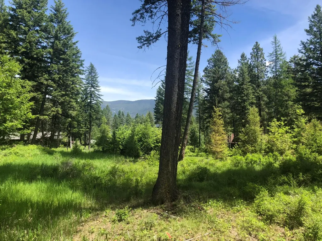56 Wood Ridge Drive Columbia Falls MT 59912