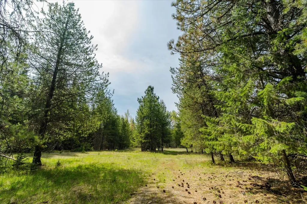 Tbd Troy Mine Road Troy MT 59935
