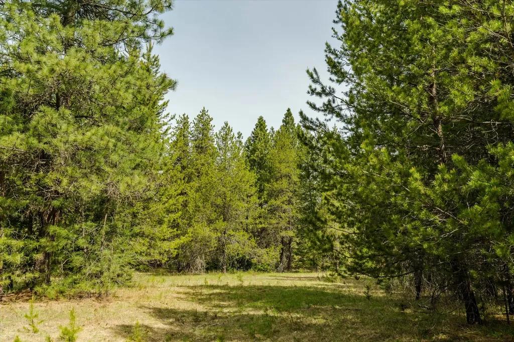 Tbd Troy Mine Road Troy MT 59935