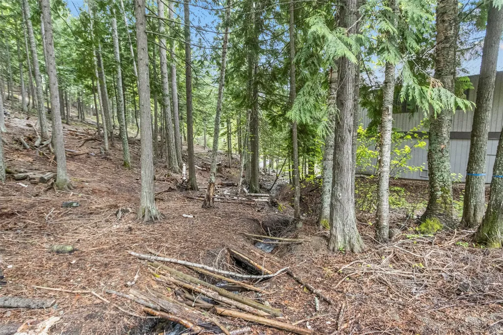 49 Alder Way Whitefish MT 59937