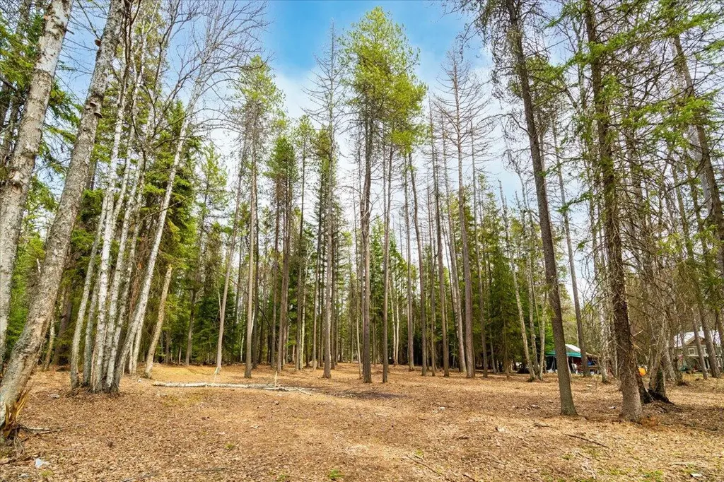 518 Eastman Drive Bigfork MT 59911