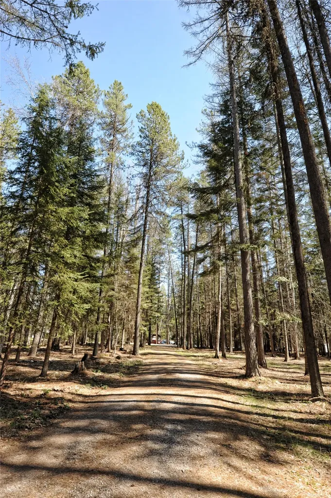 518 Eastman Drive Bigfork MT 59911