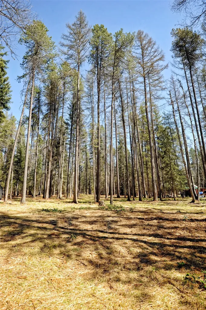518 Eastman Drive Bigfork MT 59911