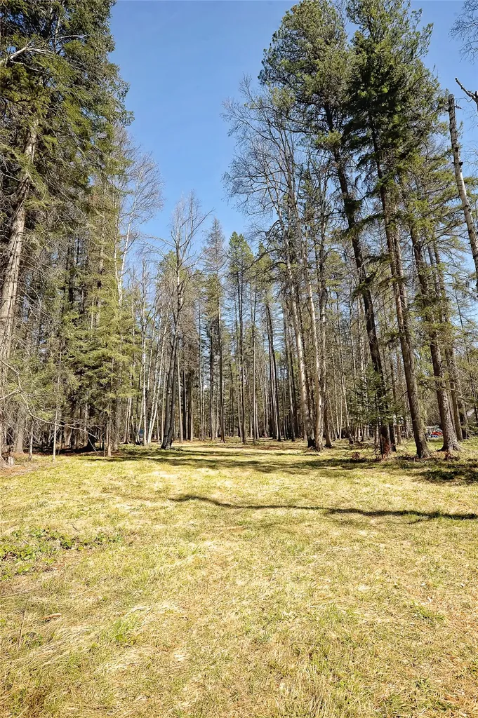 518 Eastman Drive Bigfork MT 59911