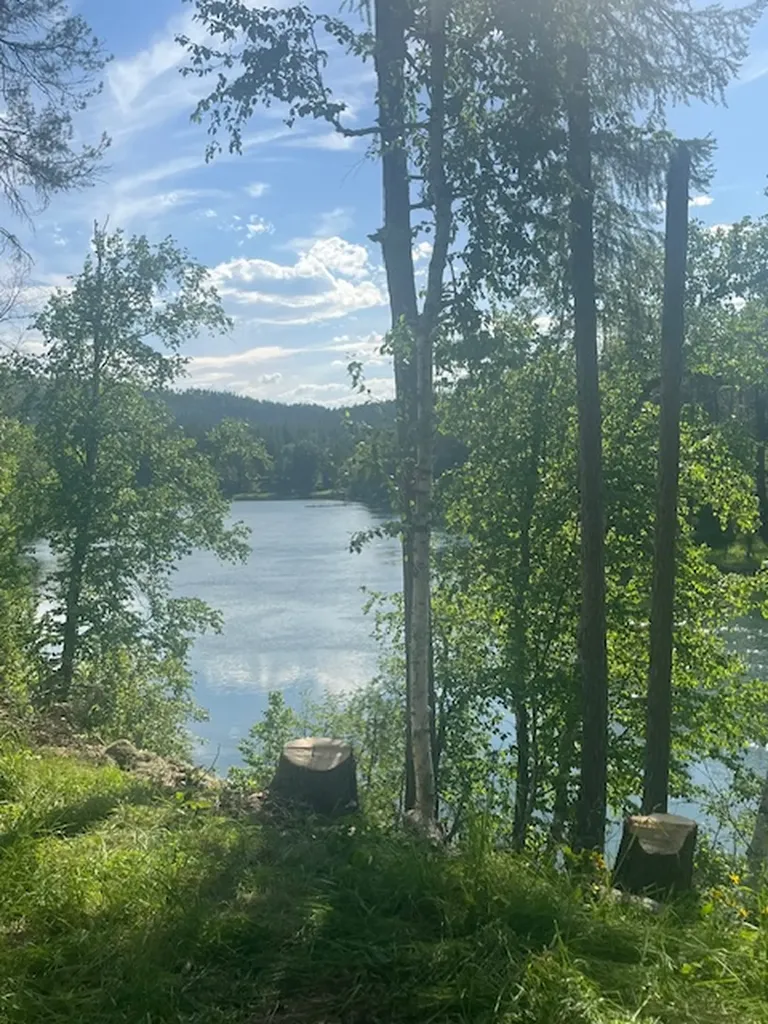 518 Eastman Drive Bigfork MT 59911