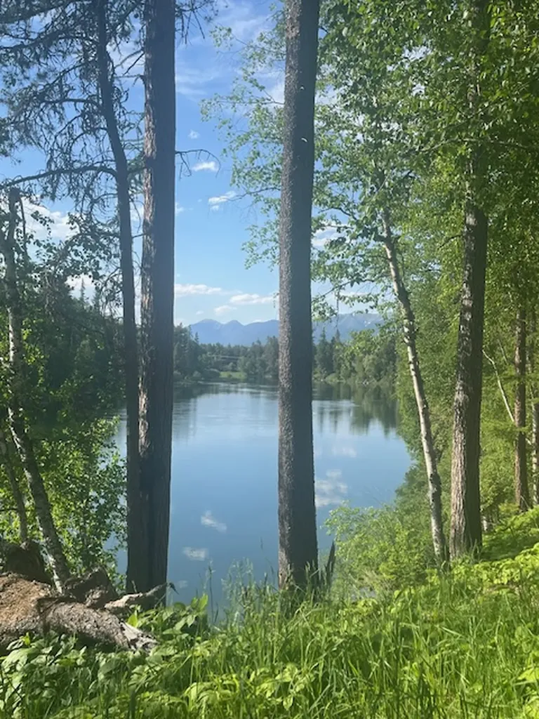 518 Eastman Drive Bigfork MT 59911