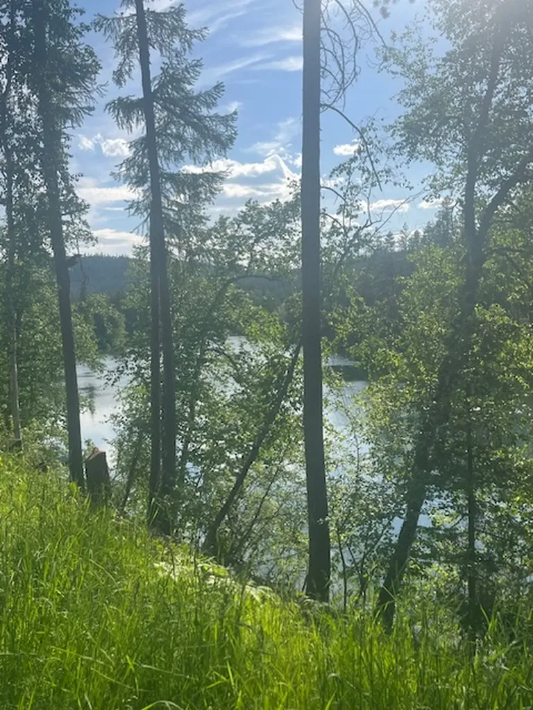518 Eastman Drive Bigfork MT 59911