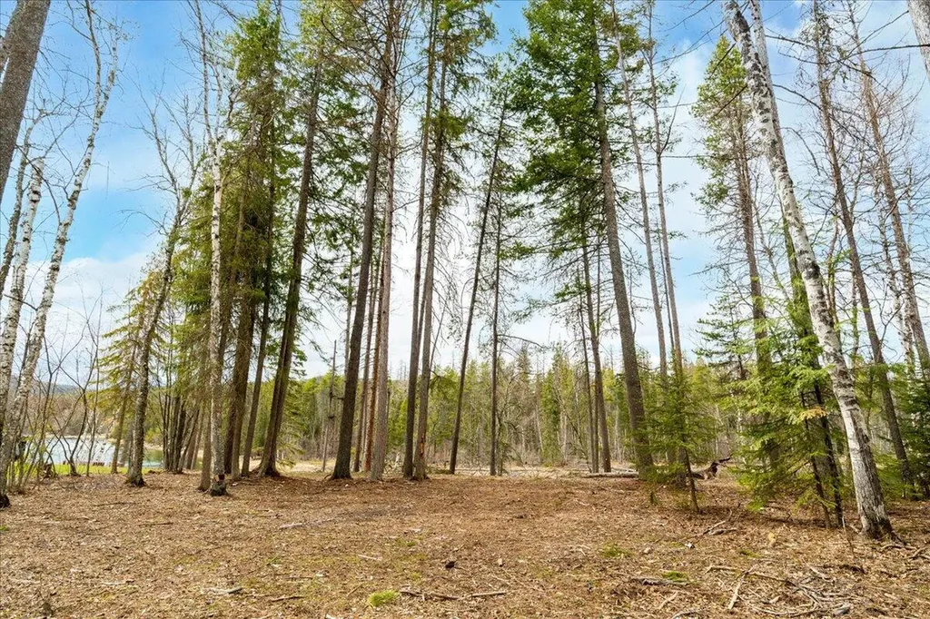 518 Eastman Drive Bigfork MT 59911
