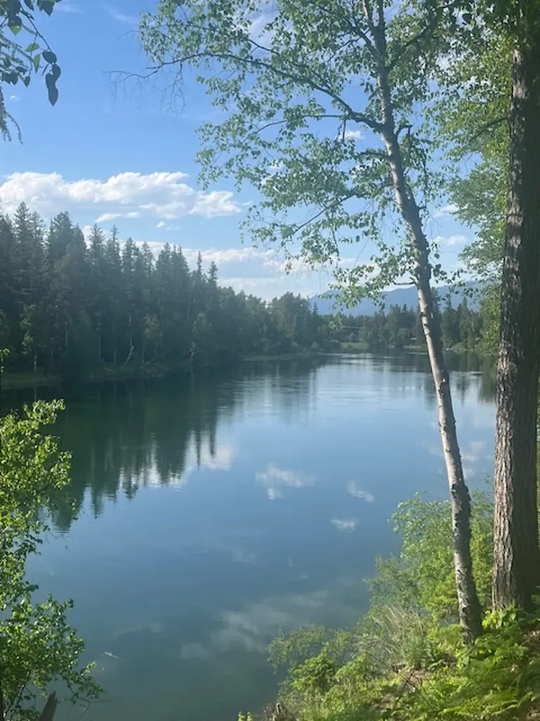 518 Eastman Drive Bigfork MT 59911