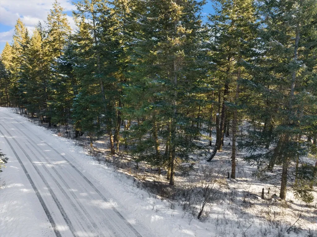 119 Stageline Court Whitefish MT 59937