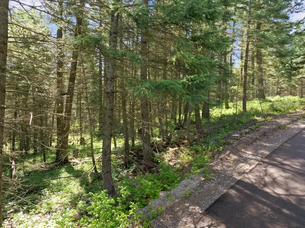 119 Stageline Court Whitefish MT 59937