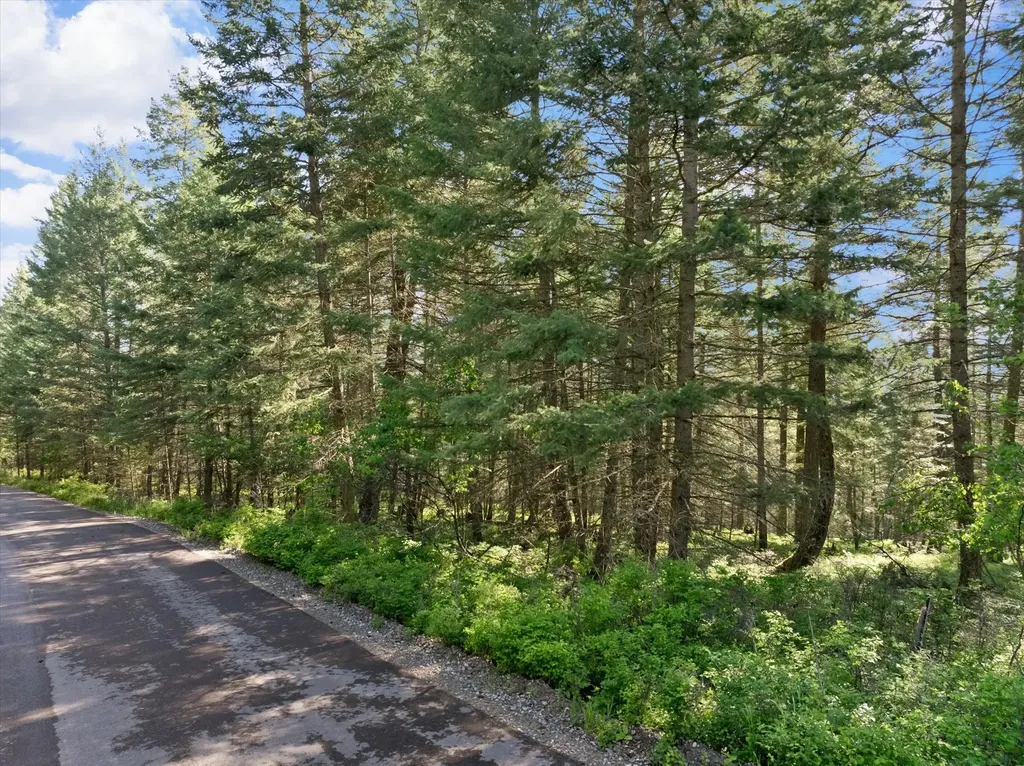 119 Stageline Court Whitefish MT 59937