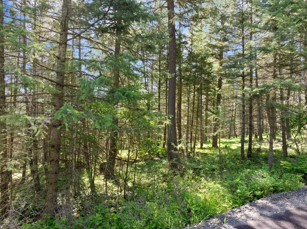 119 Stageline Court Whitefish MT 59937