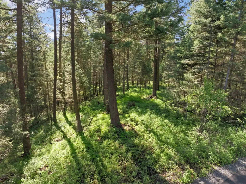 119 Stageline Court Whitefish MT 59937