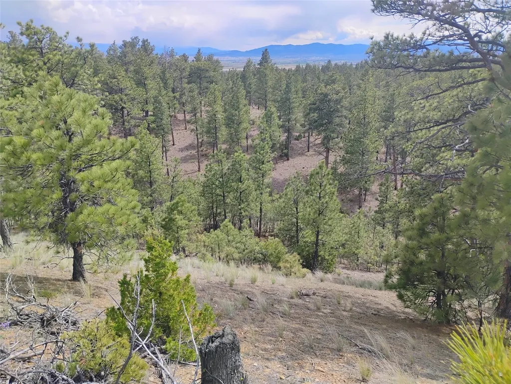6520 Noble Lane Helena MT 59602