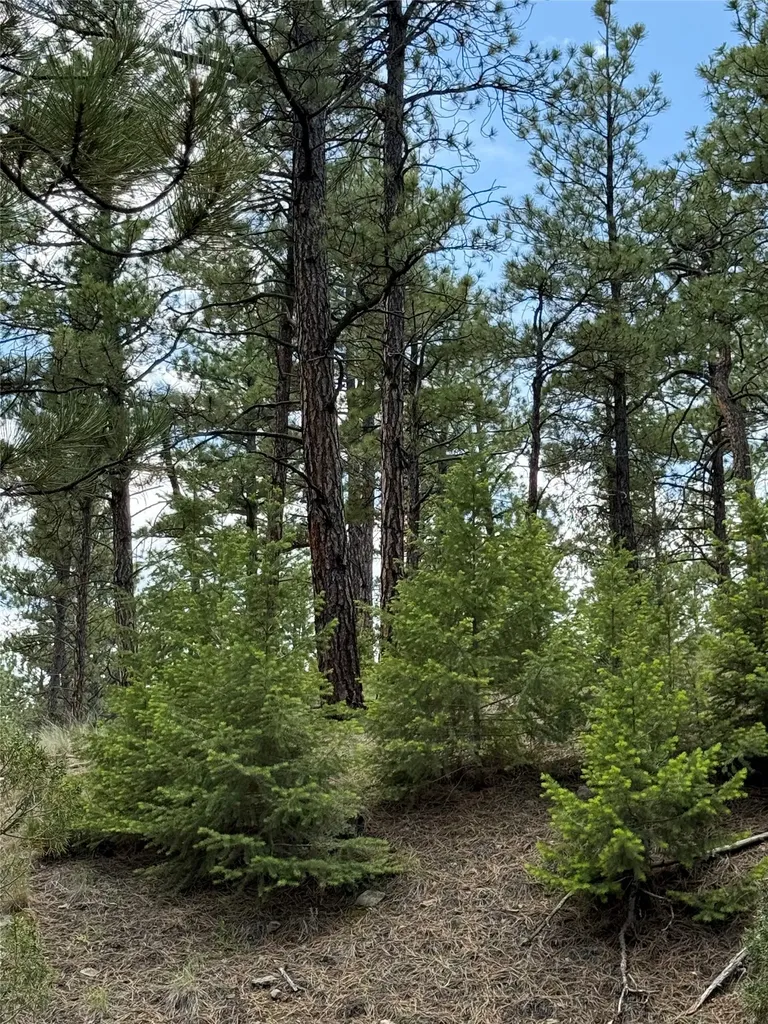 6520 Noble Lane Helena MT 59602