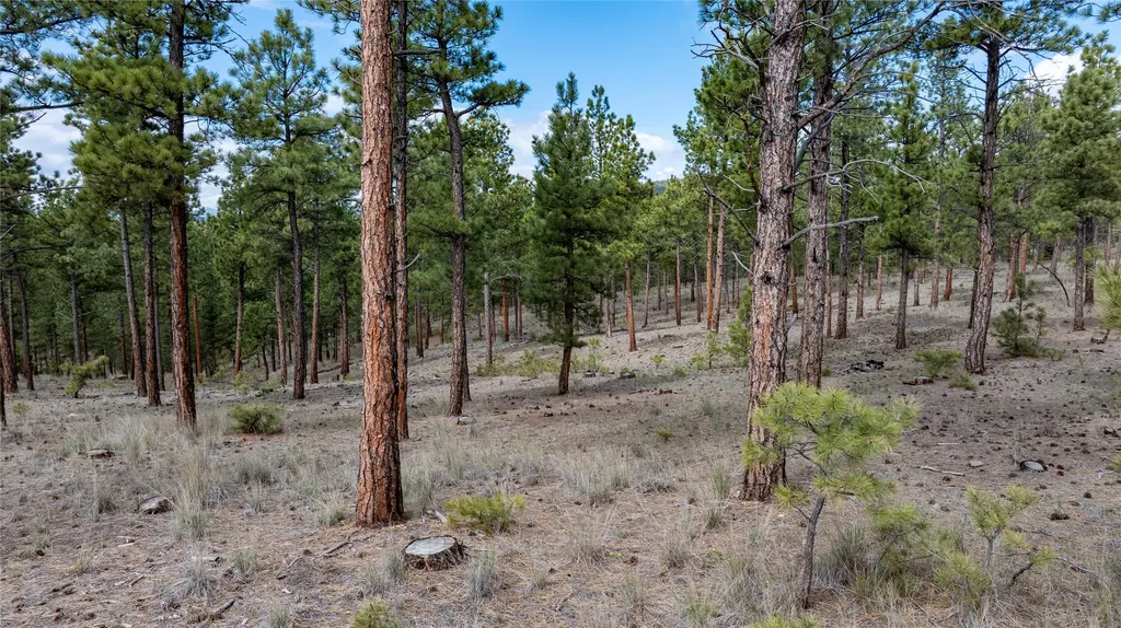6520 Noble Lane Helena MT 59602